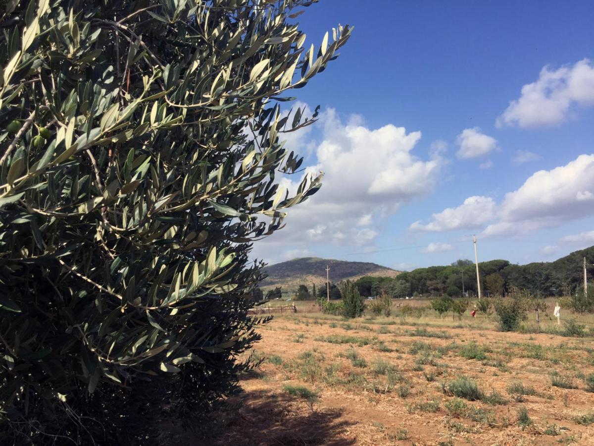 Agriturismo Monte Alzato كابالبيو المظهر الخارجي الصورة