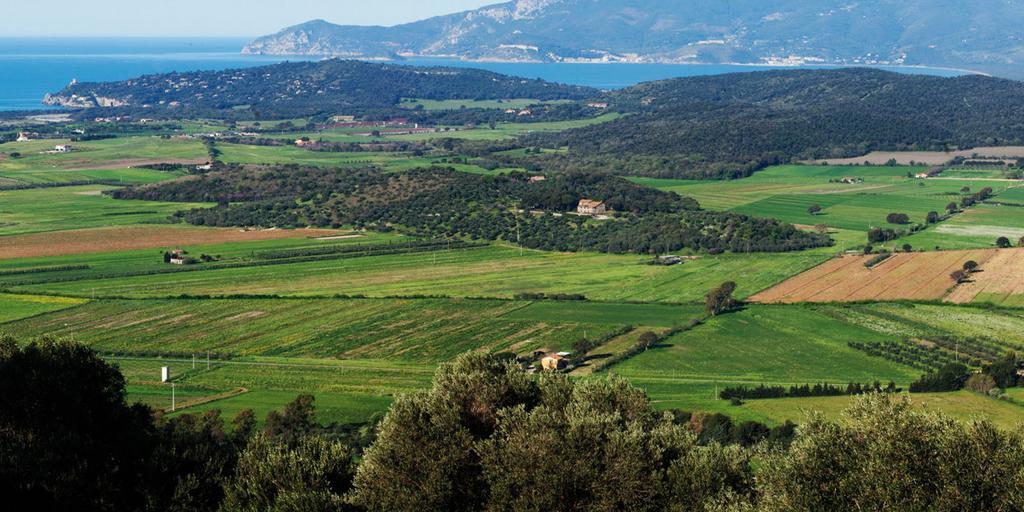 Agriturismo Monte Alzato كابالبيو المظهر الخارجي الصورة