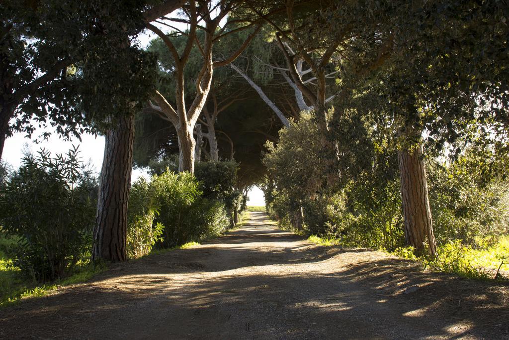 Agriturismo Monte Alzato كابالبيو المظهر الخارجي الصورة