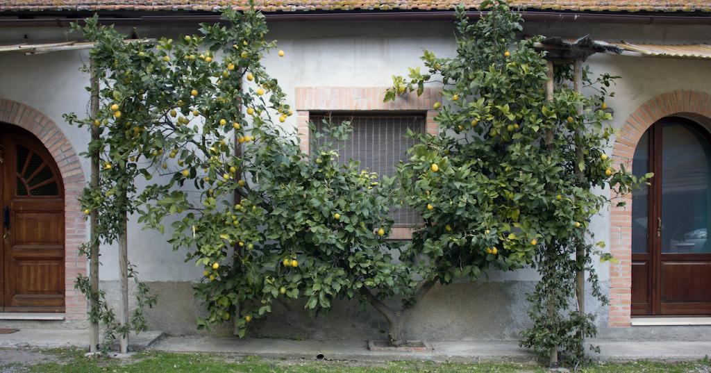 Agriturismo Monte Alzato كابالبيو الغرفة الصورة