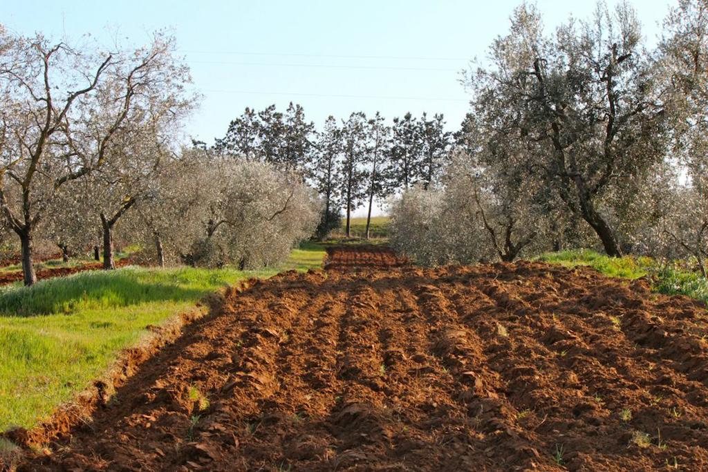 Agriturismo Monte Alzato كابالبيو المظهر الخارجي الصورة